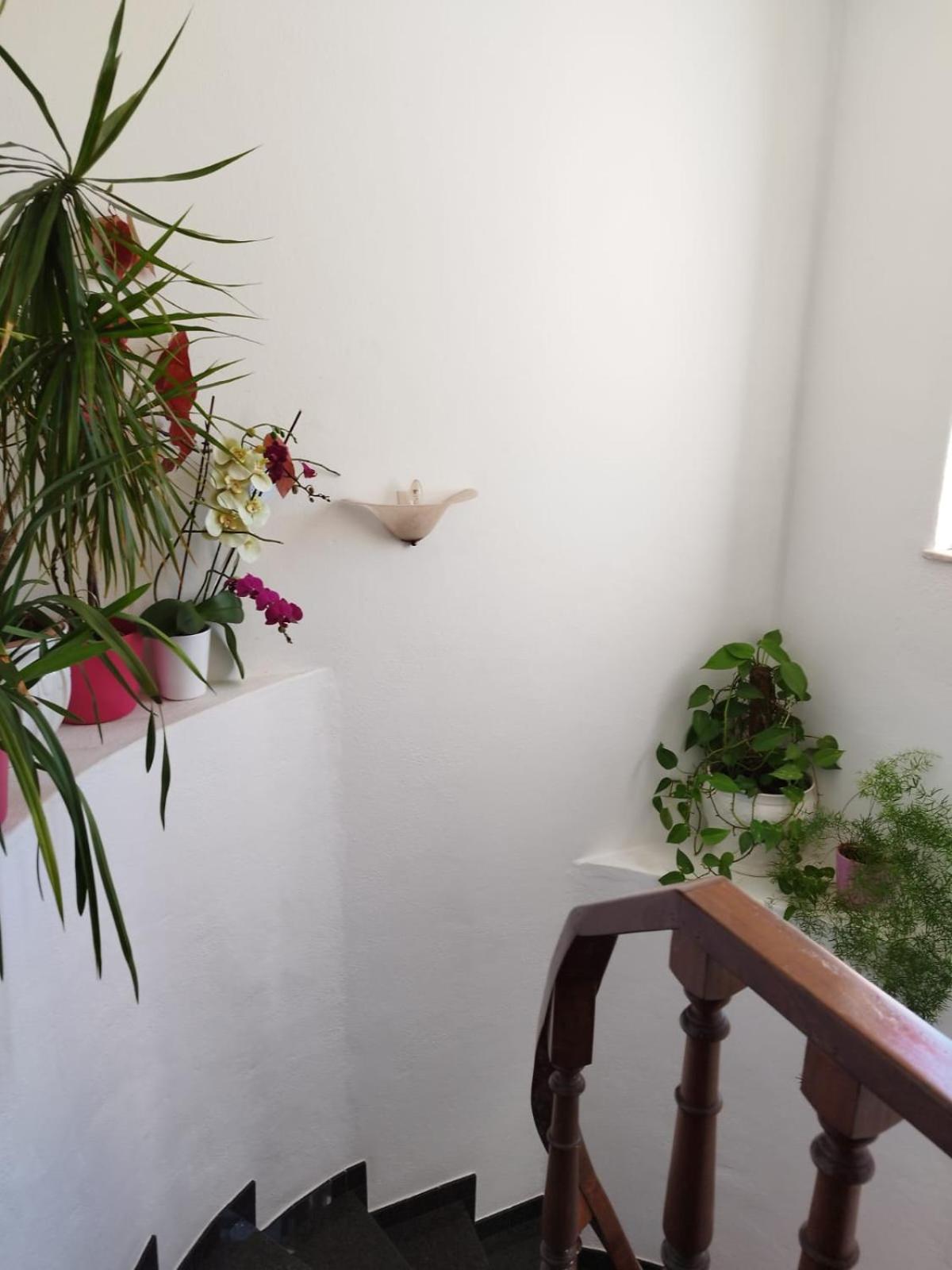 Amar Mar Villa วีลา ดู บิสโป ภายนอก รูปภาพ